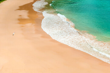 The beautiful sea with the shore in a beautiful orange shade of sand in the Atlantic Ocean in beautiful shades of green surrounded by volcanic rocks of the Fernando de Noronha Archipelago