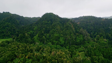 Fototapeta na wymiar Green woodland mountain hills covered fresh trees under cloudy sky drone view
