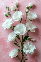 White flower on pink background. AI generate illustration