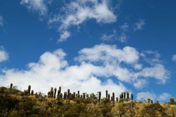paisajes, nevado del Ruiz
