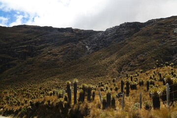 paisajes, nevado del Ruiz