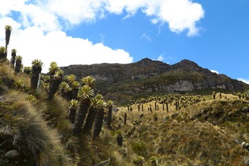 paisajes, nevado del Ruiz