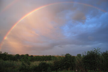Naklejka premium Rainbow over the rural landscape. Temperate steppes with hilly terrain. Trees, bushes, flowers and herbs grow below. Above the ground there is a sky with gray clouds against which a rainbow glows.
