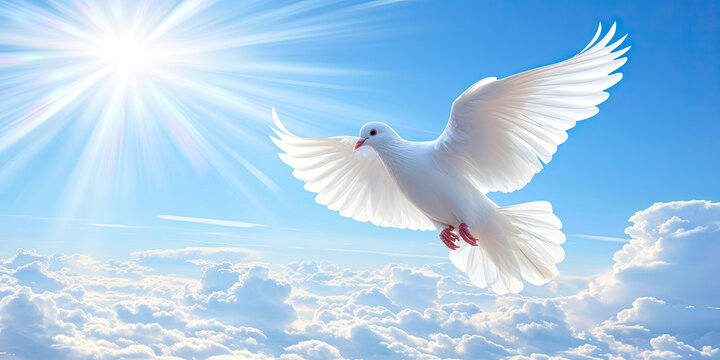 Dove in the Sky Funeral background