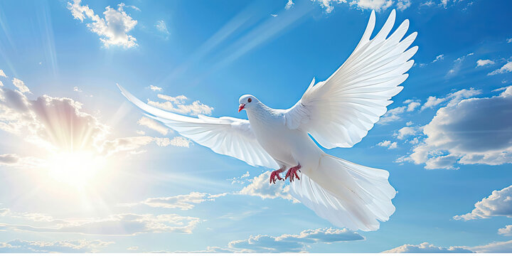 Dove in the Sky Funeral background