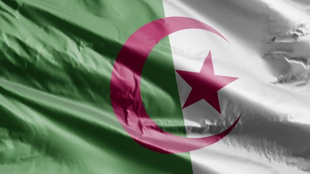 Algeria flag background realistic waving in the wind 4K video, for Independence Day or Anthem (Perfect Loop)