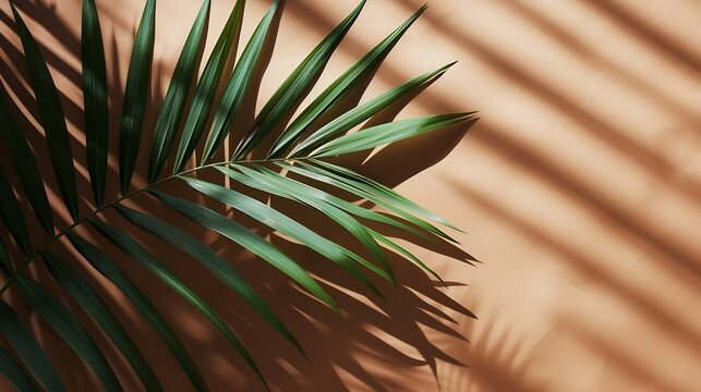 Tropical natural background with palm leaf on brown. Flat lay, copy space : Generative AI
