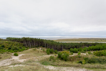 Landscape view of pine forest and dunes with white grey clouds in summer, Marshland and sand dike on the Dutch Wadden Sea island Terschelling, A municipality and an island in Friesland, Netherlands.