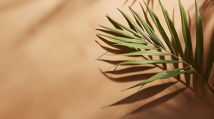 Naklejka na ściany i meble Tropical natural background with palm leaf on brown. Flat lay, copy space : Generative AI