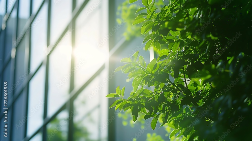 Wall mural eco architecture. green tree and glass office building. the harmony of nature and modernity. reflect