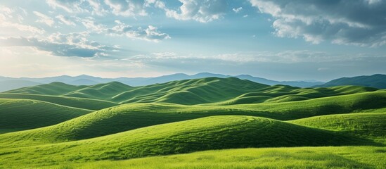 Green grass fields placed on smooth hills under a blue sky.