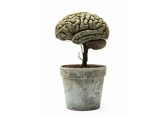A potted brain tree isolated on white, presented in the style of precisionism influence and concrete art.
