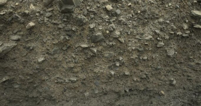 Different forms in cross section of soil horizon layers in 4k