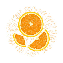 Vector illustration of a colorful orange, half and slices. Hand drawn. Isolated on white background.