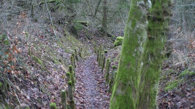  London trench trench warfare Douaumont Verdun 1916 ww1