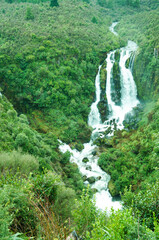 Fototapeta na wymiar 緑あふれる中に流れる滝