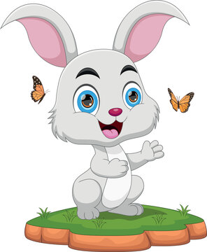 cute rabbit playing with butterfly cartoon