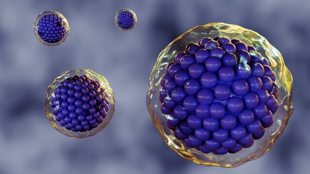 3d rendering of cells are surrounded by a plasma membrane, which is a thin, flexible barrier that separates the cell from its environment.