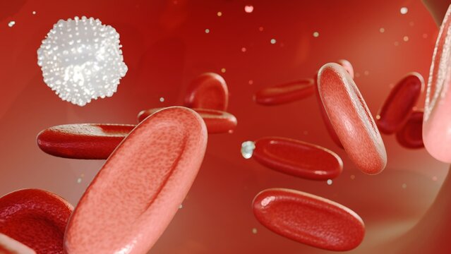 3d rendering of Elliptocytes, also known as ovalocytes or cigar cells, are abnormally shaped red blood cells that appear oval or elongated.