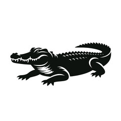 Fototapeta premium Silhouette of Crocodile