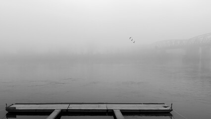 Po river quay on a foggy day, Cremona. Monochrome