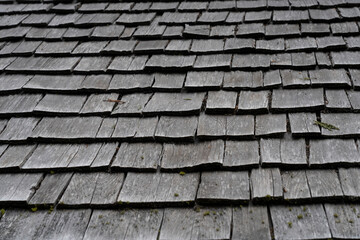 Wood shingles on historic building in forest.  