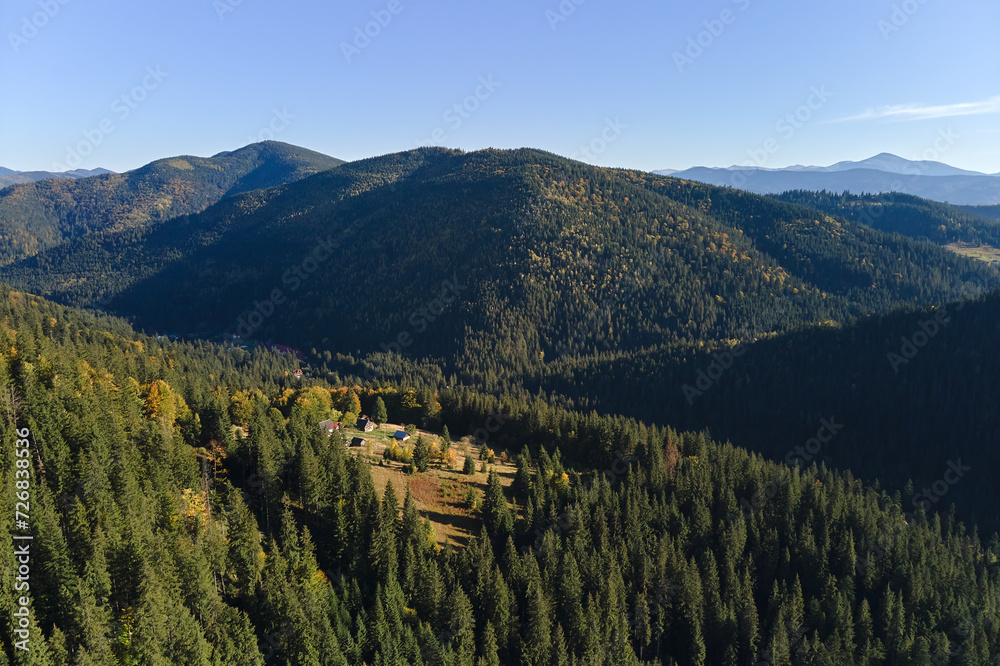 Wall mural Aerial view of high hills with dark pine forest trees at autumn bright day. Amazing scenery of wild mountain woodland - Wall murals