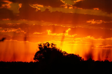 late sunset over the forest lake. Beautiful sunset 