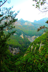 Vertical view at Eremo di Soffiano near Sarnano in the Sibillini Mountains with the hermitage's gorge and the massive rocky ridges on its sides, full of thickets and vegetation, sparse trunks in front