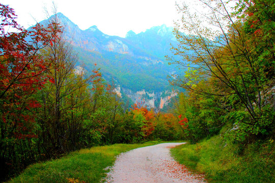 Autumn-colored scene at Eremo di Soffiano near Sarnano in the Sibillini Mountains with trees ranging from reddish to brown to green, standing beside a lone gravel path winding through the fall grove