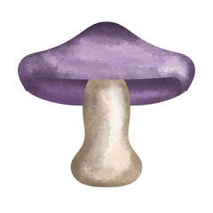 Autumn Mushrooms Illustration