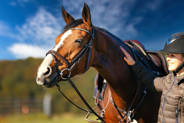 Obraz premium Horse head portraits in front of a blue sky and a rider standing next to it..