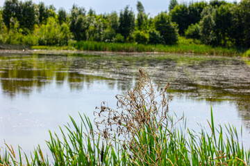Obraz premium beautiful natural landscape, outdoor recreation, trips and sightseeing