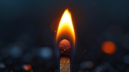
Fiery Ignition: Close-Up of Burning Wooden Match on Black Background

 - Powered by Adobe