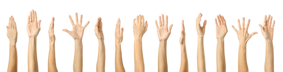 Raised hand. Multiple images set of female caucasian hand with french manicure showing Raised hand...