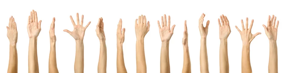 Raised hand. Multiple images set of female caucasian hand with french manicure showing Raised hand gesture © Iurii