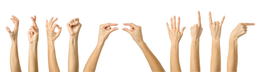 Big set of getures of female caucasian hand gestures with french manicure
