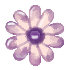 flower isolated on white