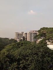 A beautiful landscape of a vast, clear, blue-sky up above with dense, green trees and tall buildings below. 