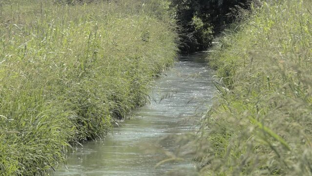 Irrigation Canal in the Po valley, Italy.
Water flows