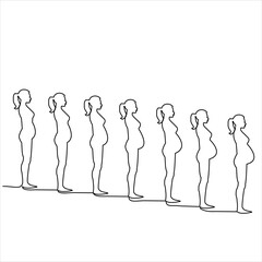continuous line drawing pregnant woman vector illustration