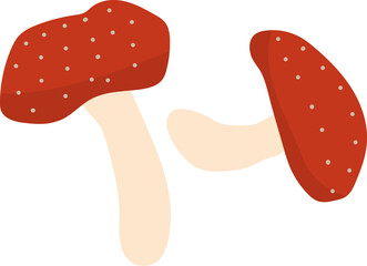 mushroom illustration