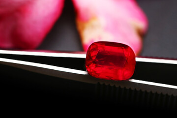 Close-up of a person's hand holding a red nail polish bottle against a white background, highlighting the beauty of the glossy glass and vibrant color in a macro view