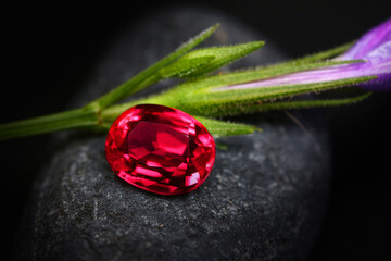Vibrant red rose with water droplets on black background, capturing the beauty of nature in a...