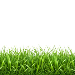 Fototapeta premium lush-green-grass-capturing-fresh-vibrancy-under-natural-sunlight-suitable-for-background-or-texture