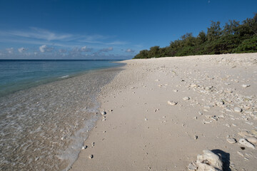 Obraz premium Coral Beach