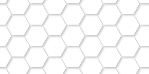 White Hexagonal Background. Luxury White Pattern. Vector Illustration. 3D Futuristic abstract honeycomb mosaic white background. geometric mesh cell texture. modern futuristic wallpaper.