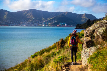 Fototapeta premium hiker girl admiring the idyllic scenery of lyttelton bay at coastal cliff walk from hays bay to church bay and diamond bay, banks peninsula, canterbury, new zealand