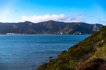panorama of lyttelton harbour on sunset; banks peninsula, canterbury, new zealand
