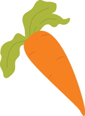carrot  illustration